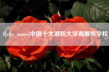 临邑中国十大消防大学有哪些学校