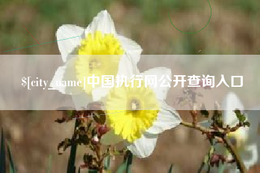临邑中国执行网公开查询入口