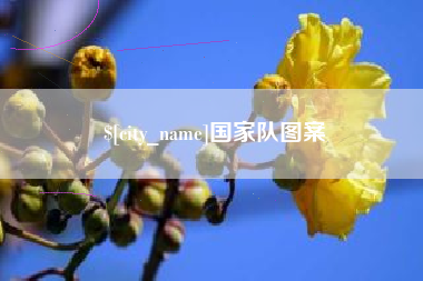 临邑国家队图案