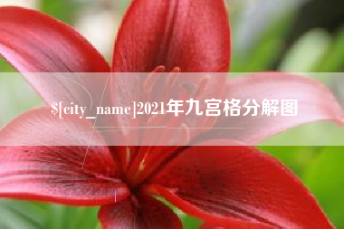 临邑2021年九宫格分解图