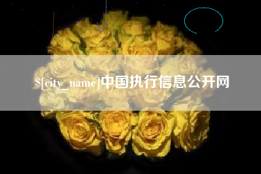 临邑中国执行信息公开网