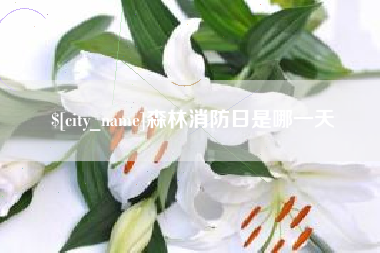 临邑森林消防日是哪一天