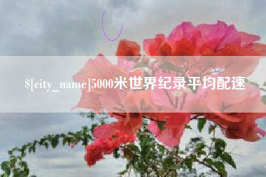 临邑5000米世界纪录平均配速