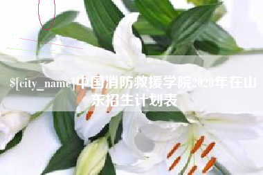 临邑中国消防救援学院2020年在山东招生计划表