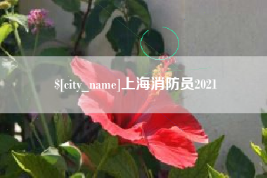 临邑上海消防员2021