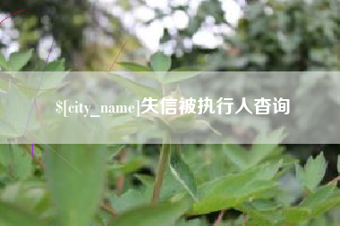 临邑失信被执行人杳询