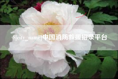 临邑中国消防救援招录平台