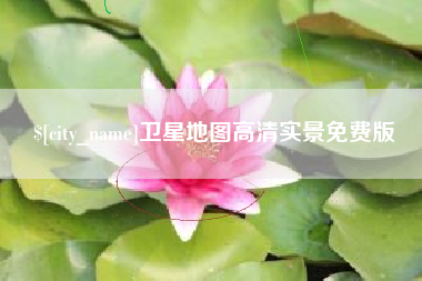 临邑卫星地图高清实景免费版