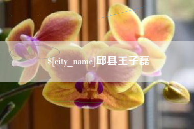 临邑邱县王子磊