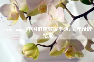 临邑中国消防救援学院2020年录取结果