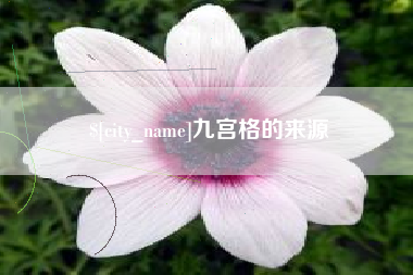 临邑九宫格的来源