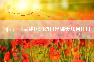 临邑我国消防日是哪天几月几日