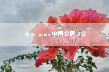 临邑中国金牌18金