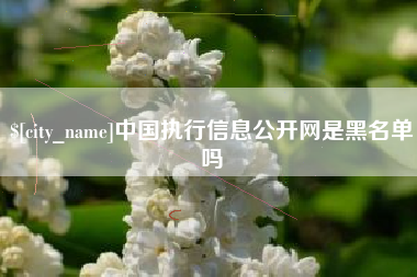 临邑中国执行信息公开网是黑名单吗