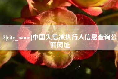临邑中国失信被执行人信息查询公开网址