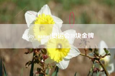 临邑奥运会39块金牌
