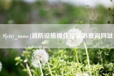 临邑消防设施操作员证书查询网址