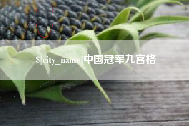 临邑中国冠军九宫格