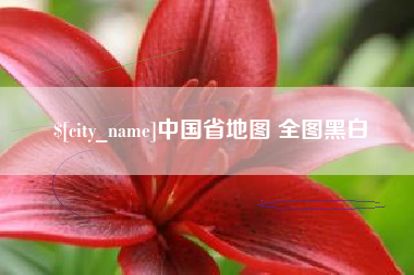 临邑中国省地图 全图黑白