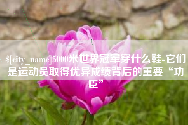 临邑5000米世界冠军穿什么鞋-它们是运动员取得优异成绩背后的重要“功臣”