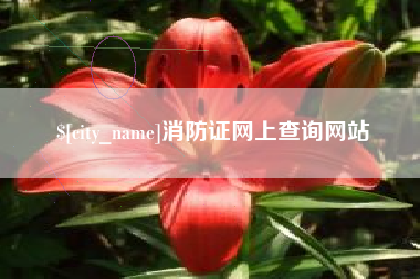 临邑消防证网上查询网站