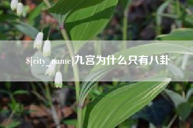 临邑九宫为什么只有八卦