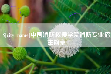 临邑中国消防救援学院消防专业招生简章