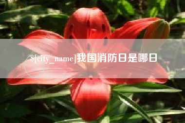 临邑我国消防日是哪日