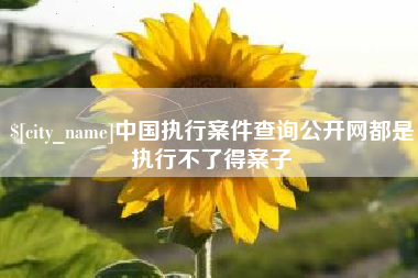 临邑中国执行案件查询公开网都是执行不了得案子