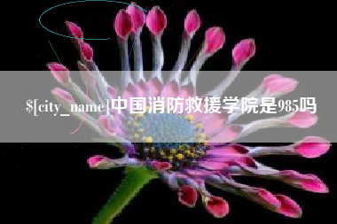 临邑中国消防救援学院是985吗