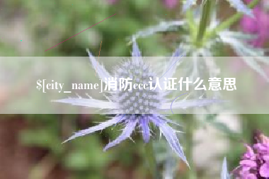 临邑消防ccc认证什么意思