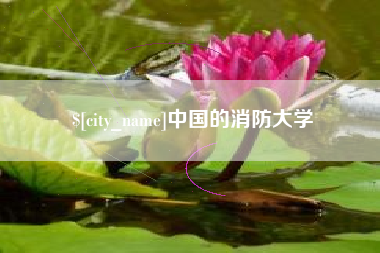 临邑中国的消防大学
