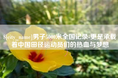 临邑男子5000米全国记录-更是承载着中国田径运动员们的热血与梦想