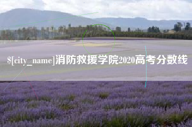 临邑消防救援学院2020高考分数线