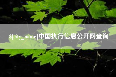 临邑中国执行信息公开网查询