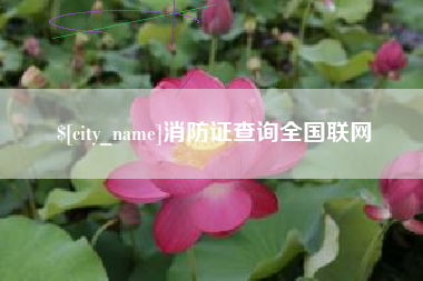 临邑消防证查询全国联网