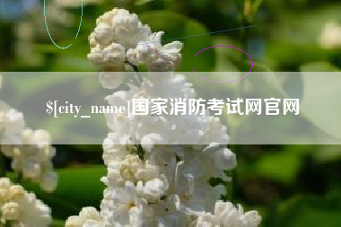临邑国家消防考试网官网