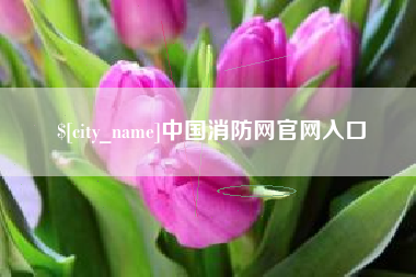 临邑中国消防网官网入口