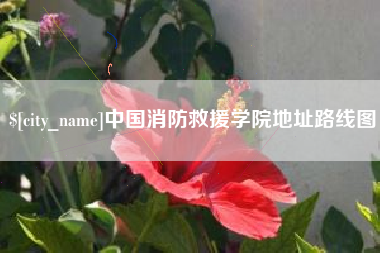 临邑中国消防救援学院地址路线图