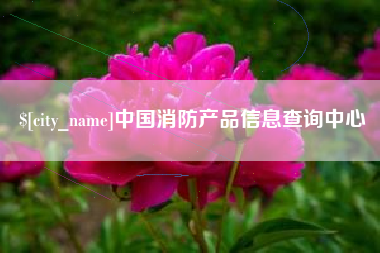 临邑中国消防产品信息查询中心