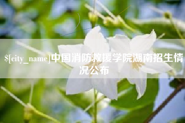 临邑中国消防救援学院湖南招生情况公布