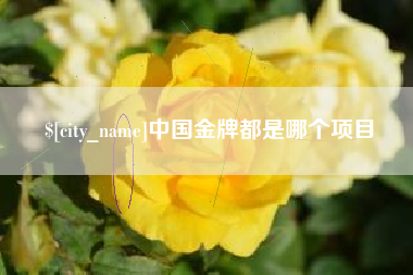 临邑中国金牌都是哪个项目