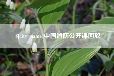 临邑中国消防公开课回放