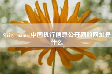 临邑中国执行信息公开网的网址是什么