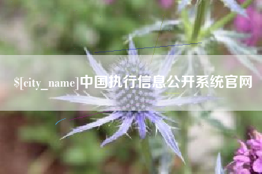 临邑中国执行信息公开系统官网