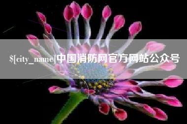 临邑中国消防网官方网站公众号