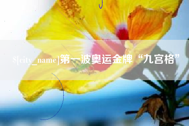 临邑第一波奥运金牌“九宫格”