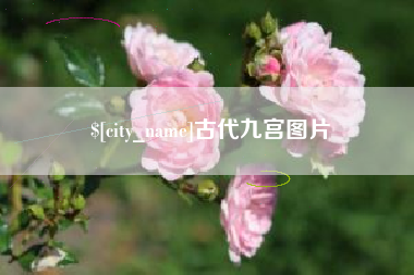 临邑古代九宫图片