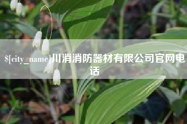 临邑川消消防器材有限公司官网电话