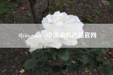 临邑中国消防产品官网